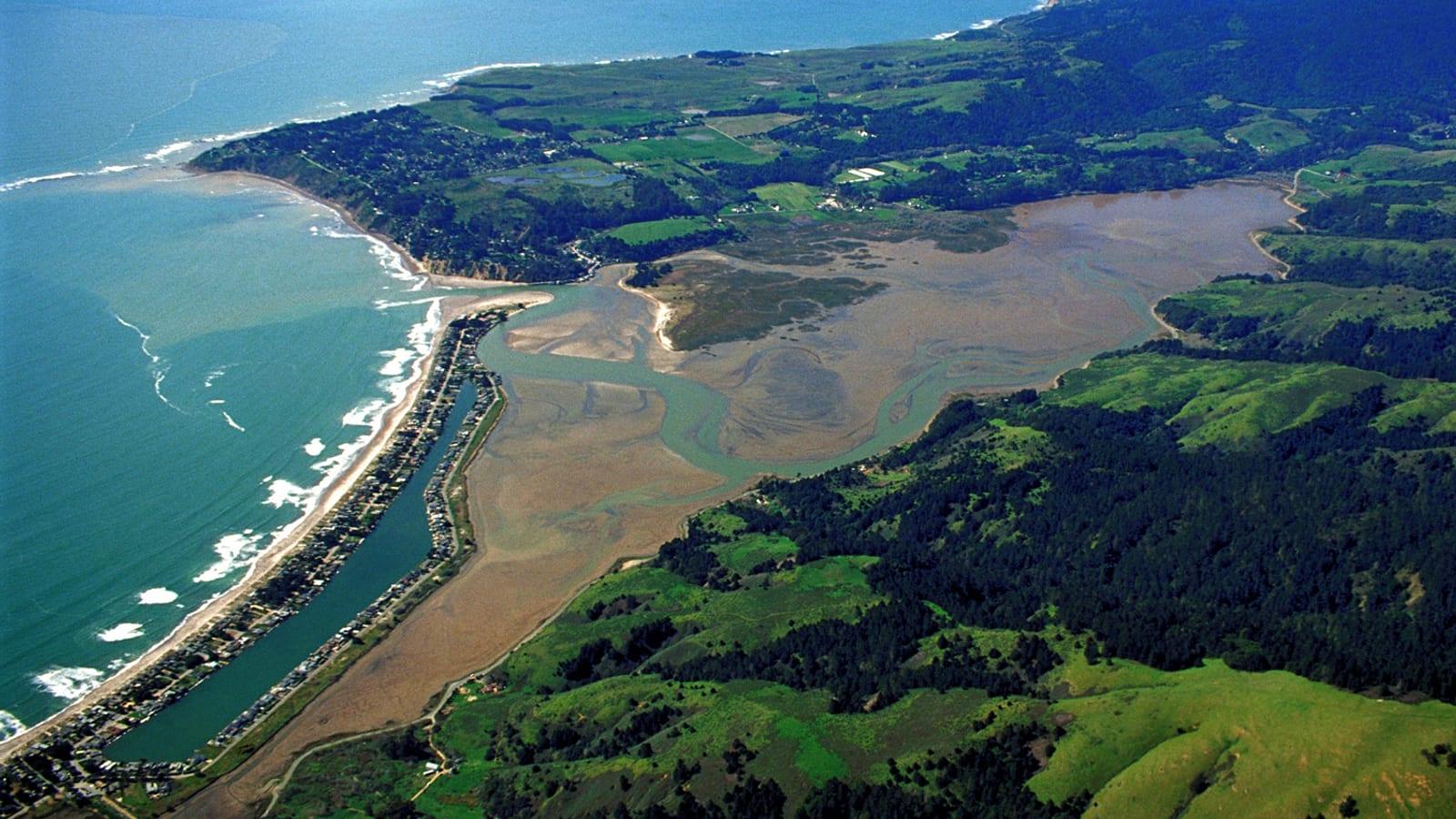 Where to Find Fossils at Bolinas Lagoon