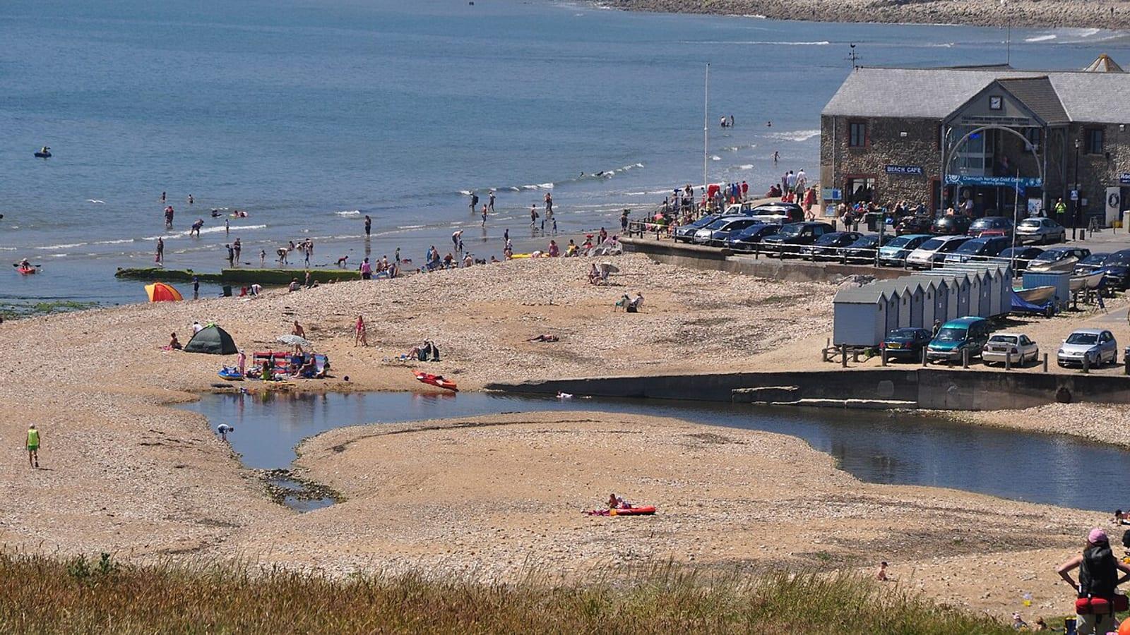 Charmouth Beach Fossil Hunting Guide