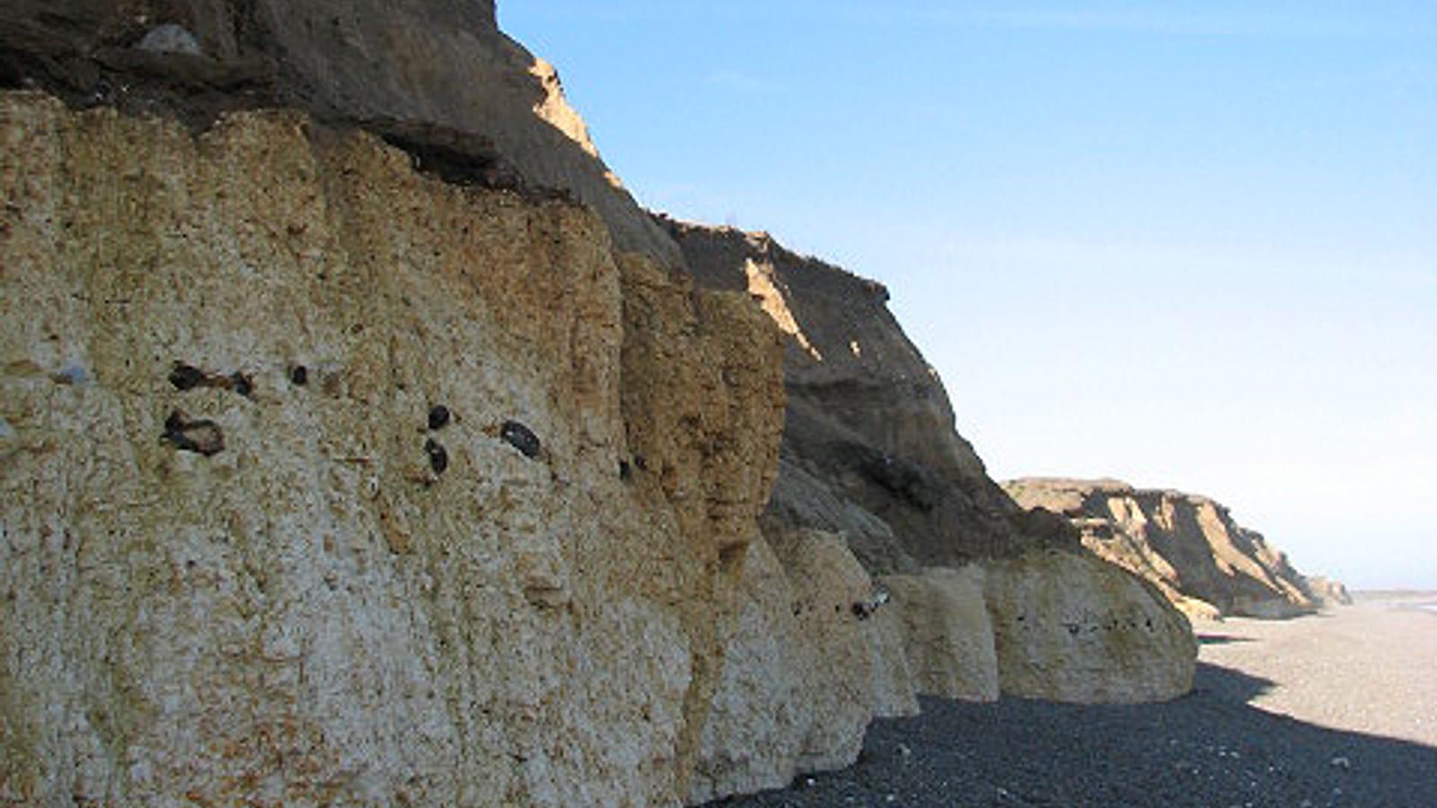 The Ultimate Guide to Dinosaur Footprints at Worth Matravers, Dorset
