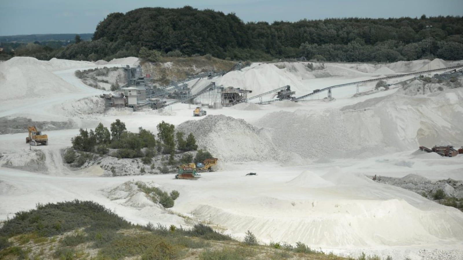 Faxe Quarry South Area: Paleocene Corals in Denmark