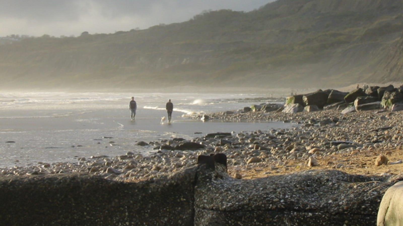 Fossil Collecting Charmouth