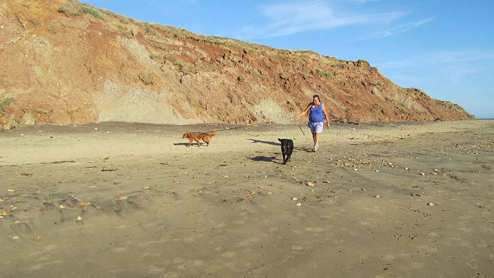 Fossil Hunting Brook Bay Isle of Wight