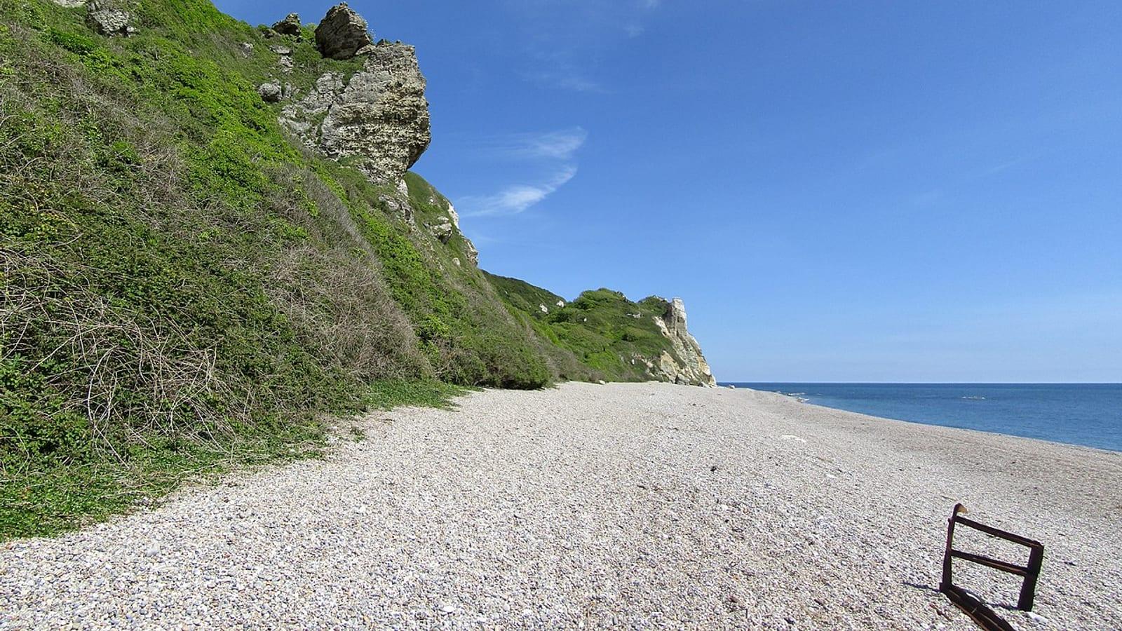 Fossil Hunting Hooken Cliff Beer Devon