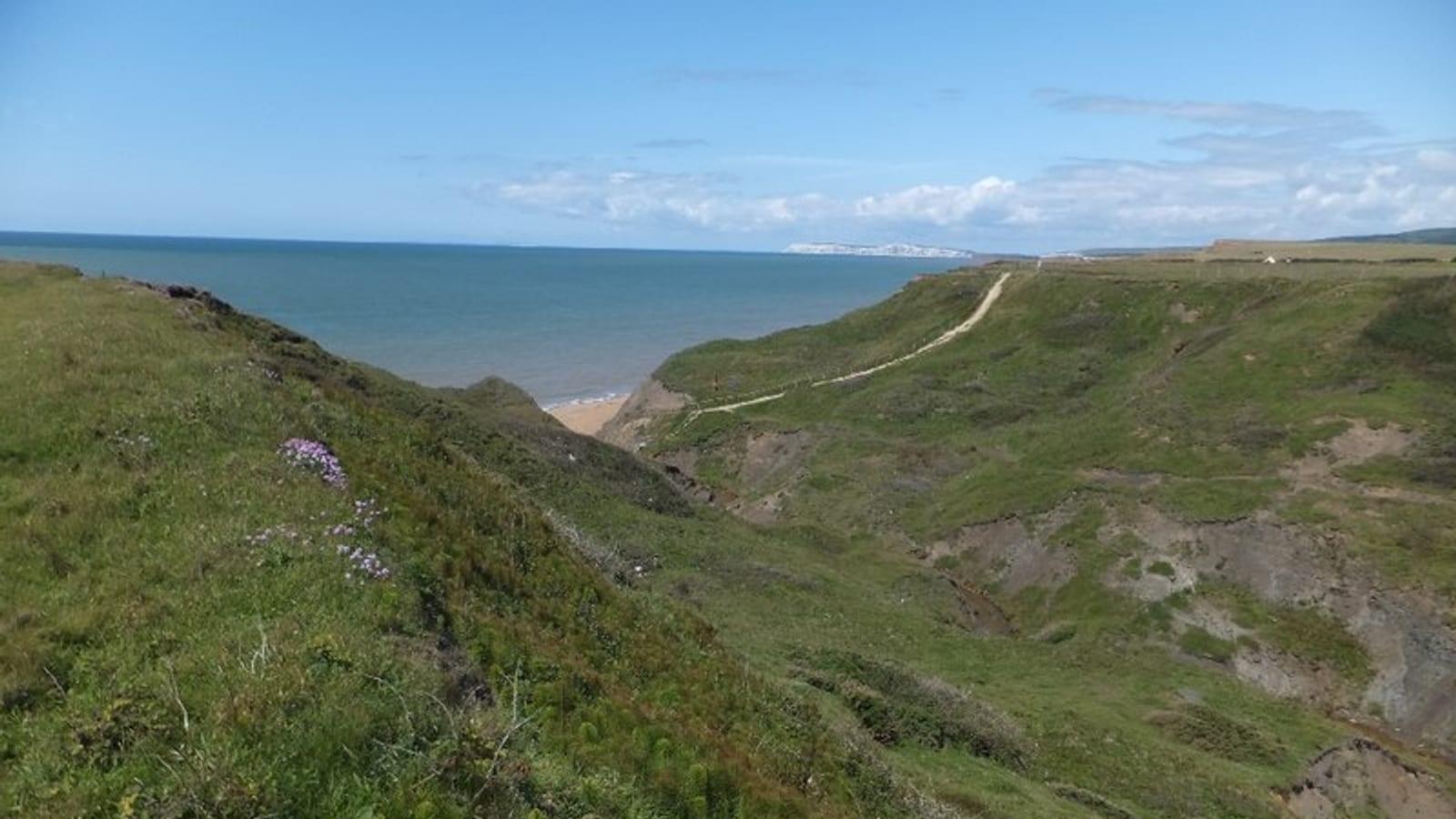 Fossil Hunting Shepherds Chine Whale Chine Isle of Wight