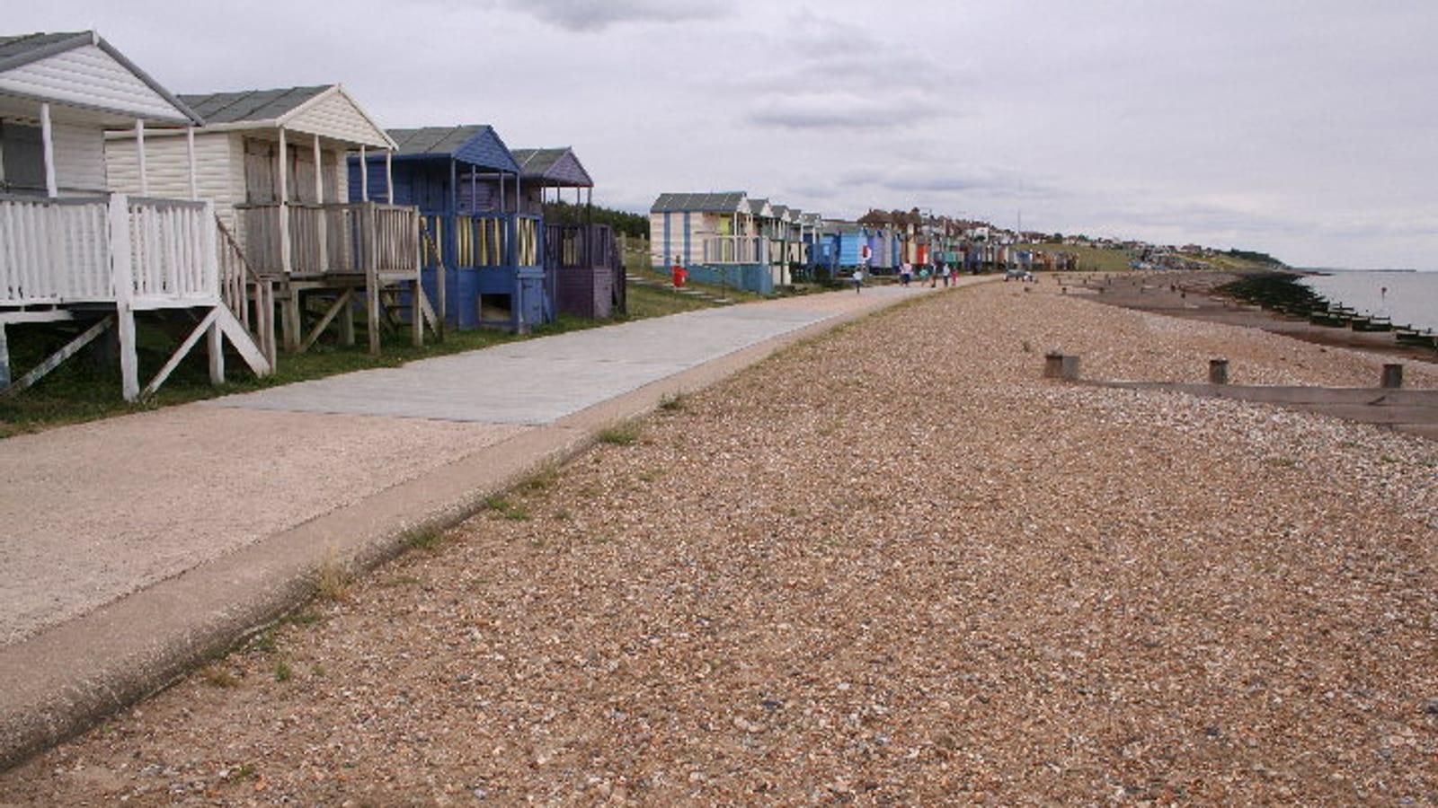 Fossil Hunting Tankerton Kent