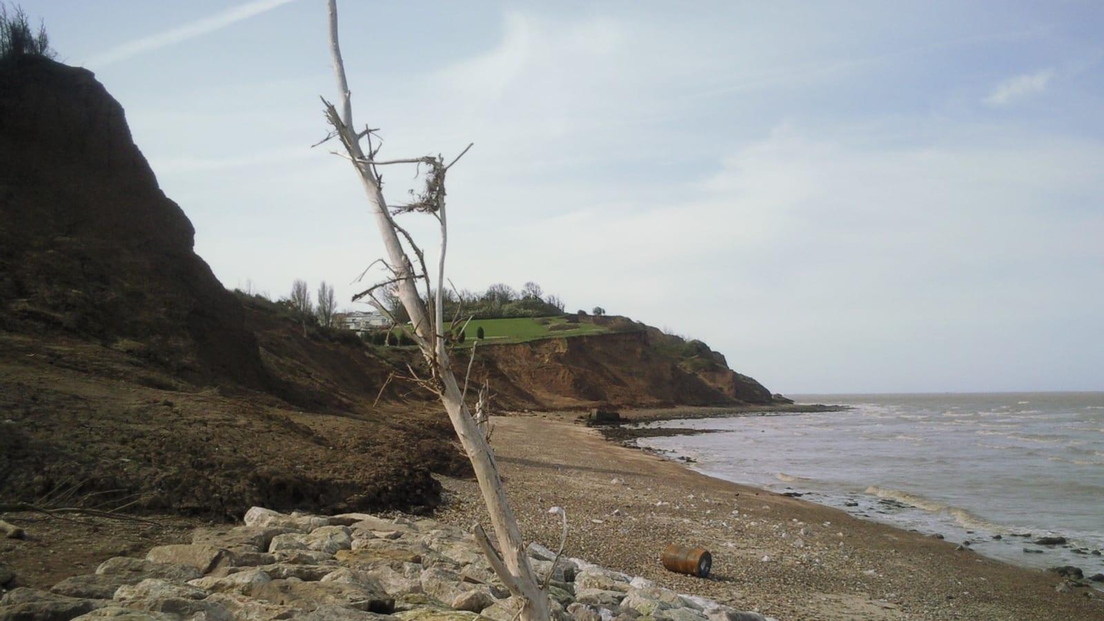 Fossil Hunting Warden Point Isle of Sheppey