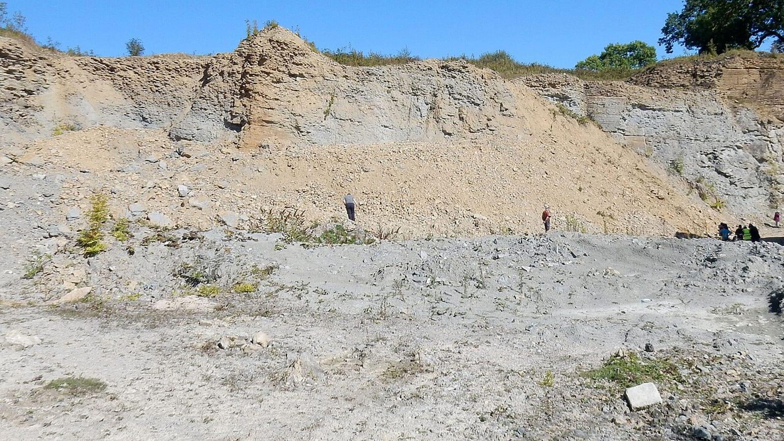 Fossil Hunting Wenlock Quarry Much Wenlock Shropshire