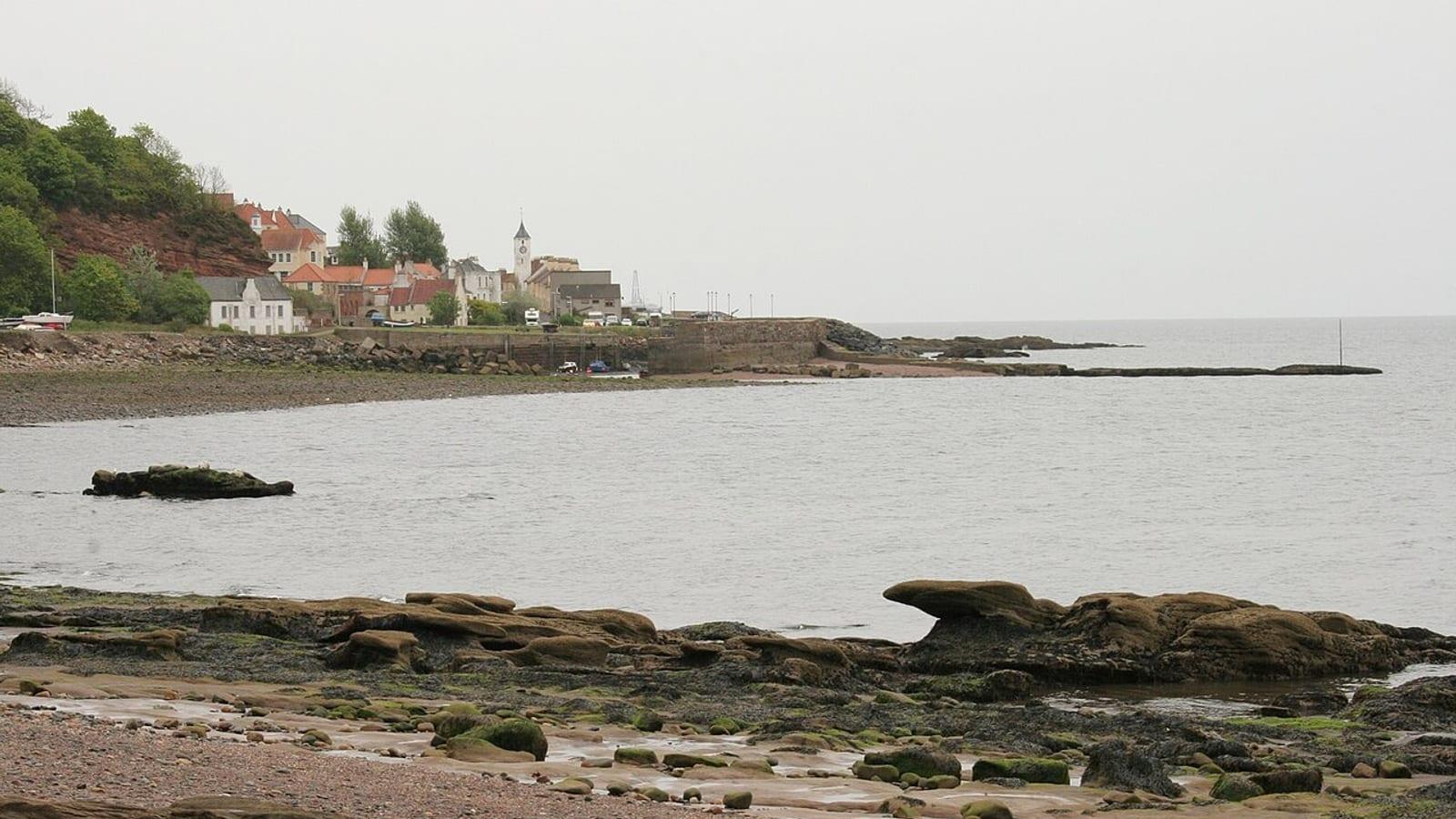Fossil Hunting West Wemyss Fife Scotland