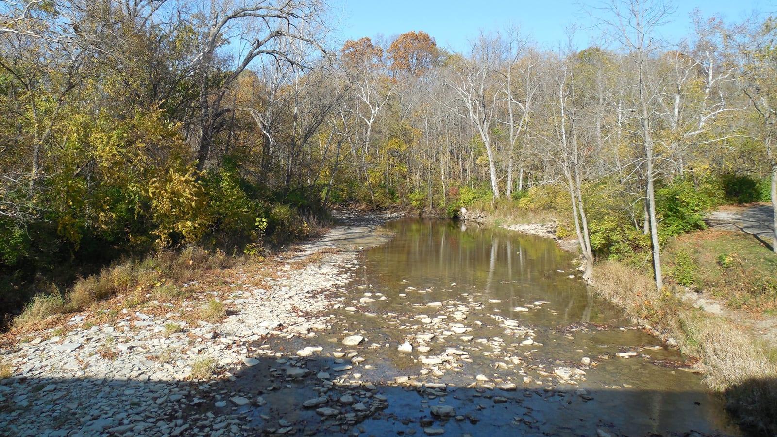 Hueston Woods State Park: brachiopods, bryozoans, crinoids, trilobites, and horn corals in Ohio