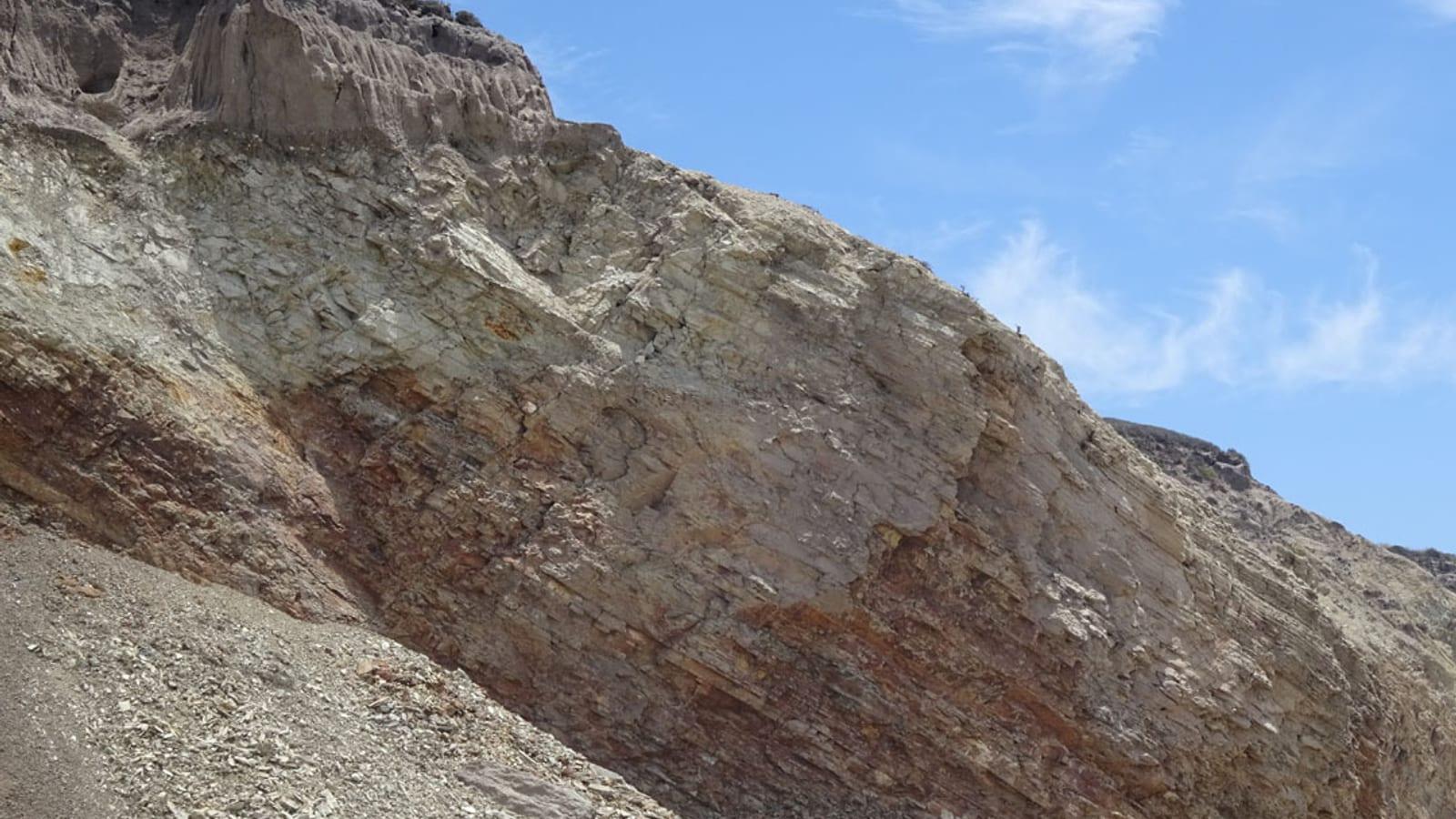 Ultimate Guide to Finding Fossils at Jalama Beach
