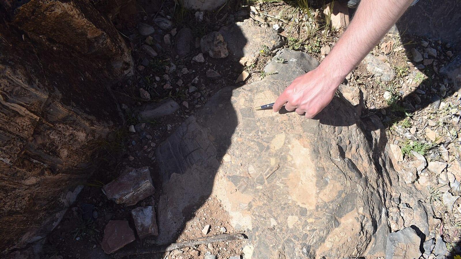 Jbel Isoumour Trilobite Mine Alnif Morocco