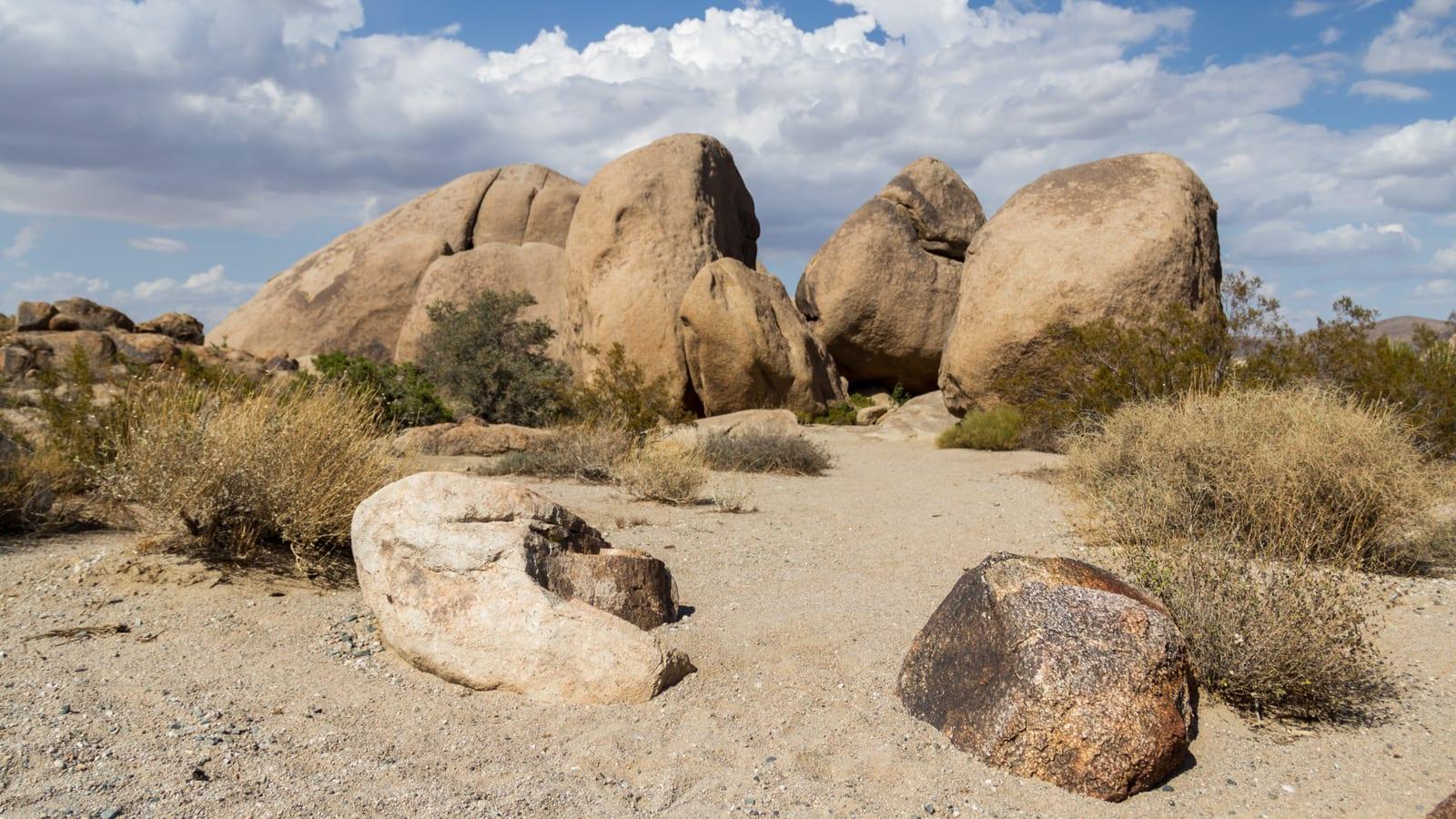 Joshua Tree National Park