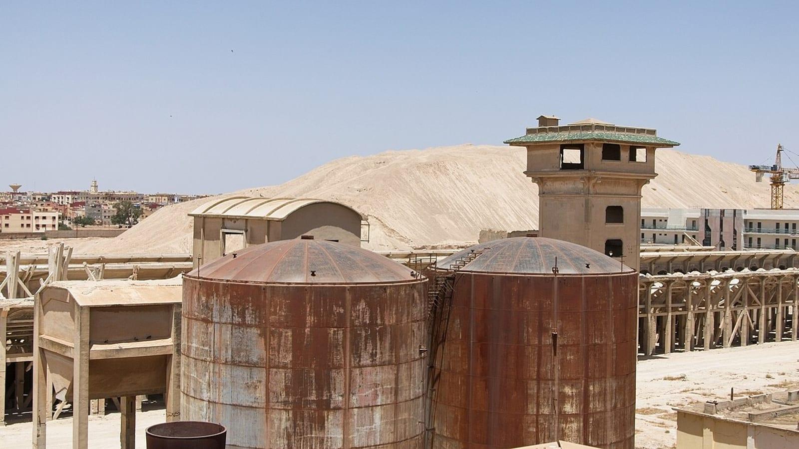 Khouribga Phosphate Shark Tooth Site Morocco