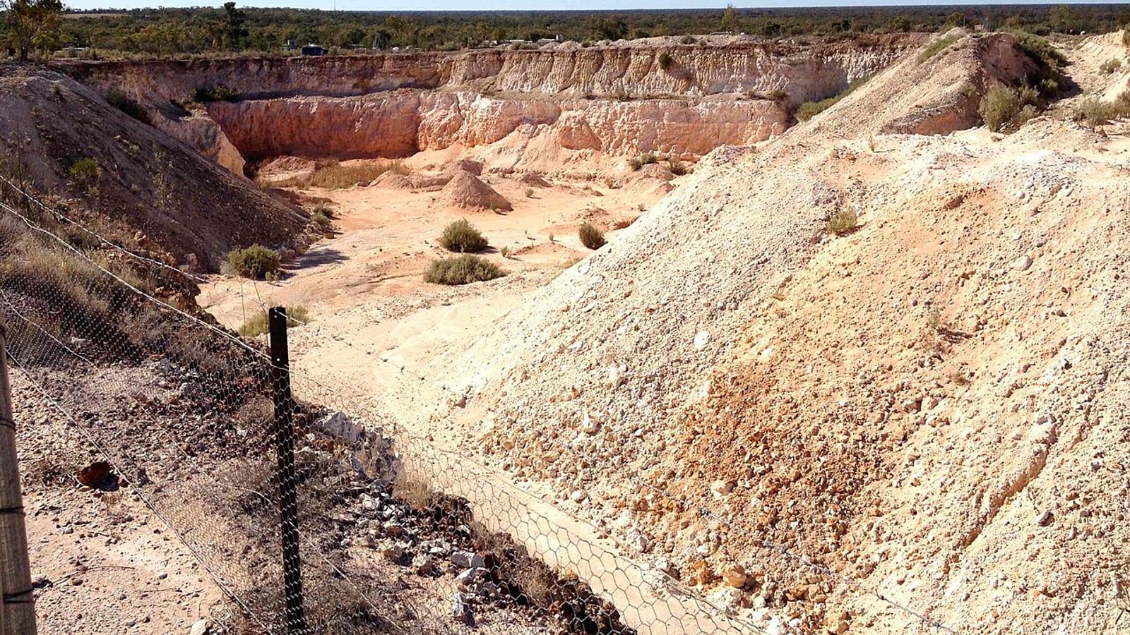 Lightning Ridge Opalised Dinosaur Fossils Nsw