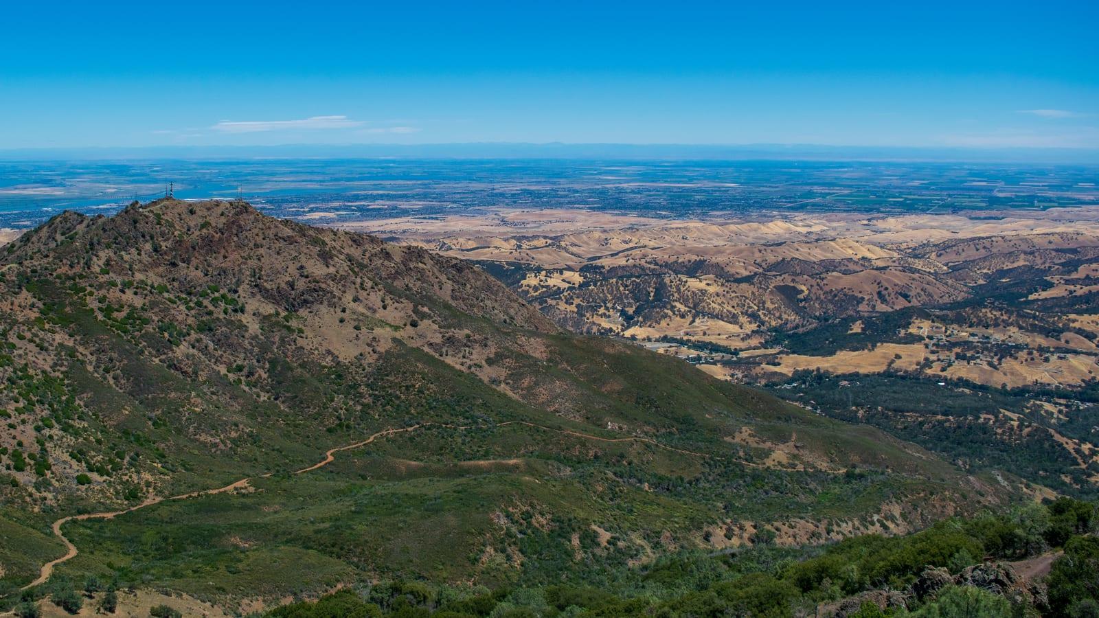 Ultimate Guide to Finding Fossils at Mt. Diablo