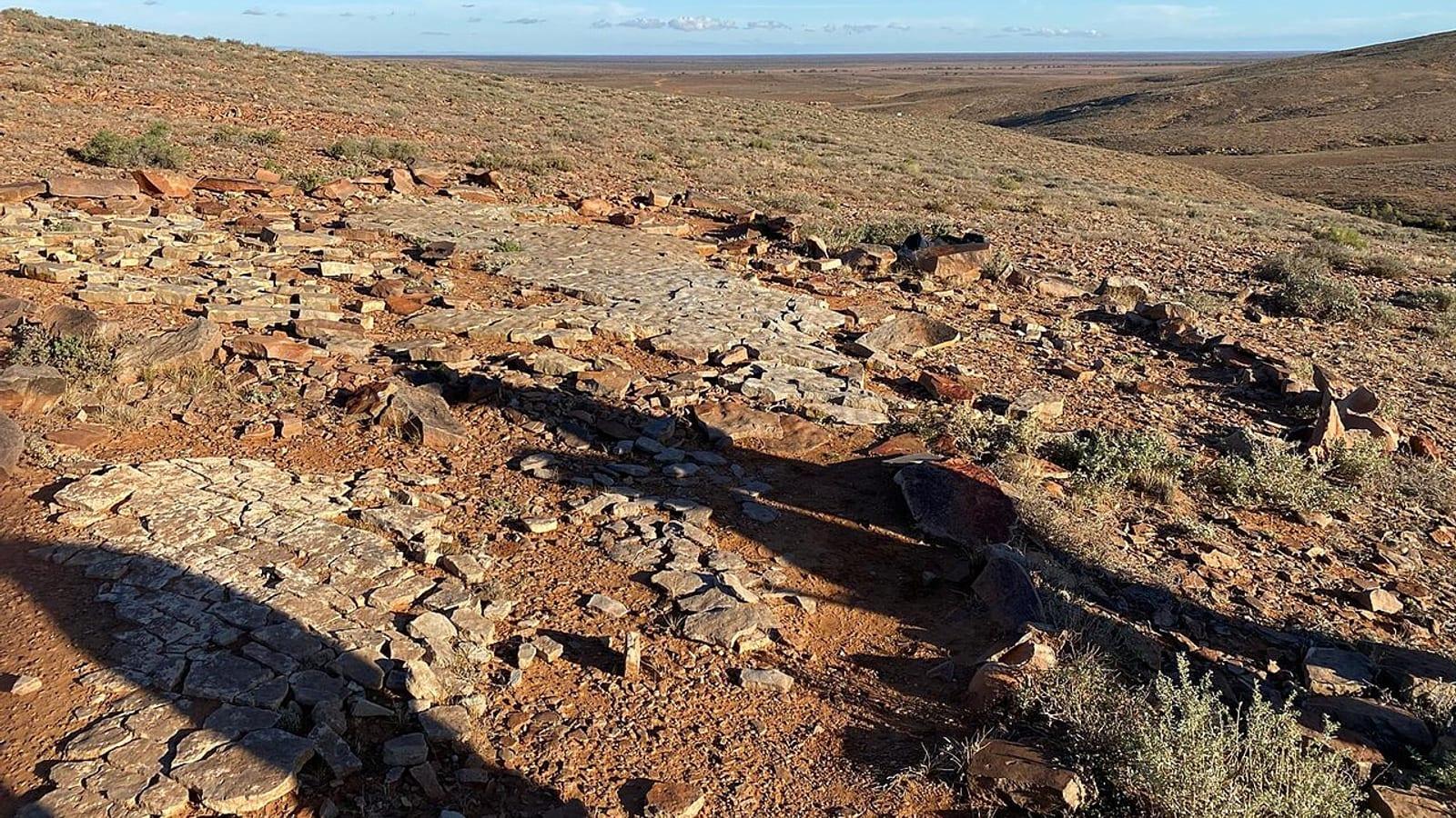 Nilpena Ediacara National Park Ediacaran Fossils South Australia