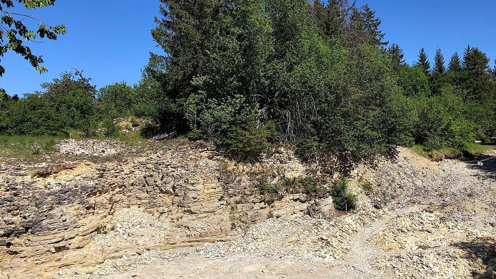 Nusplingen Plattenkalk Museum Fossil Klopfplatz Baden Wuerttemberg