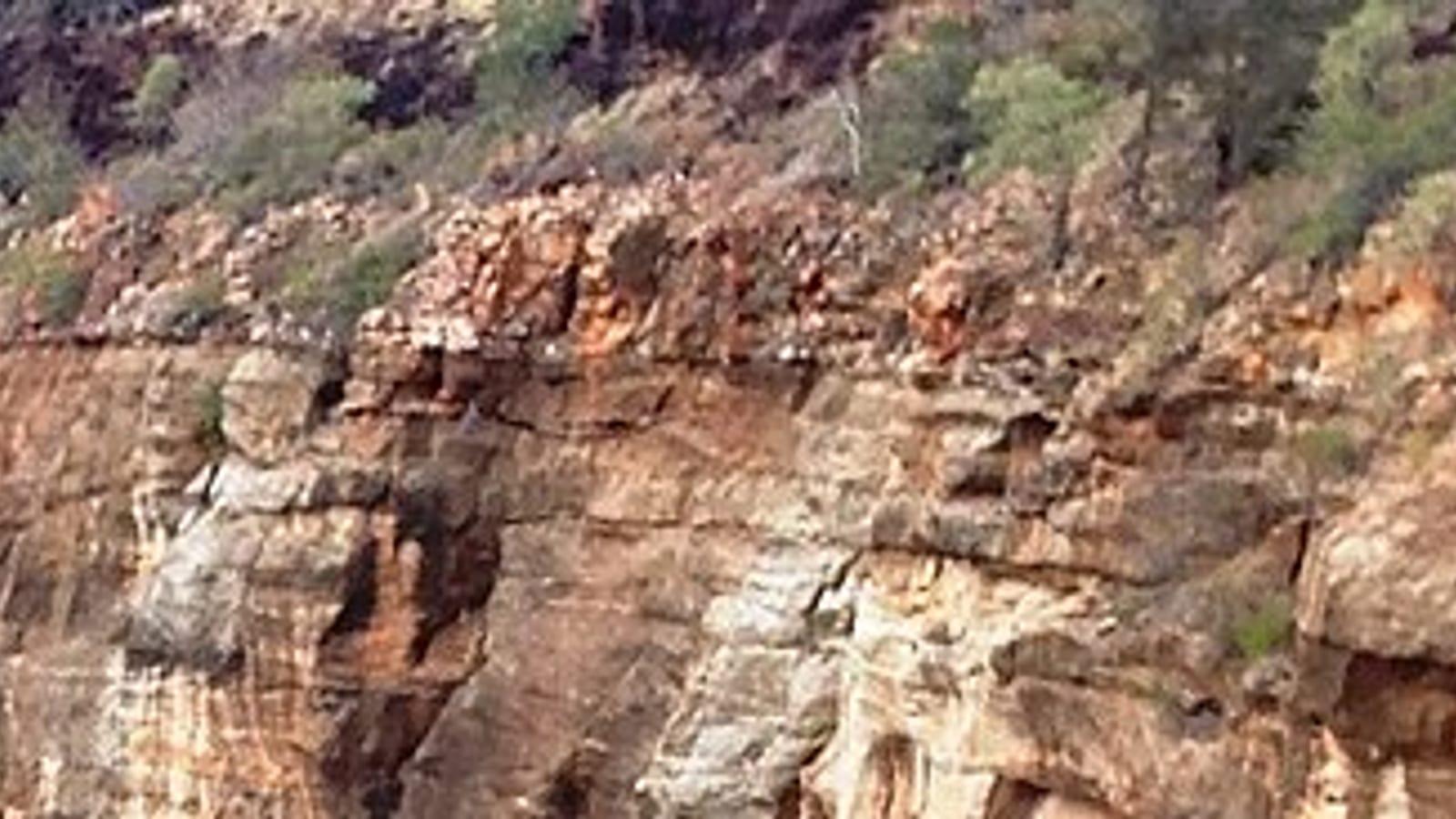 Porcupine Gorge National Park Fossils Queensland