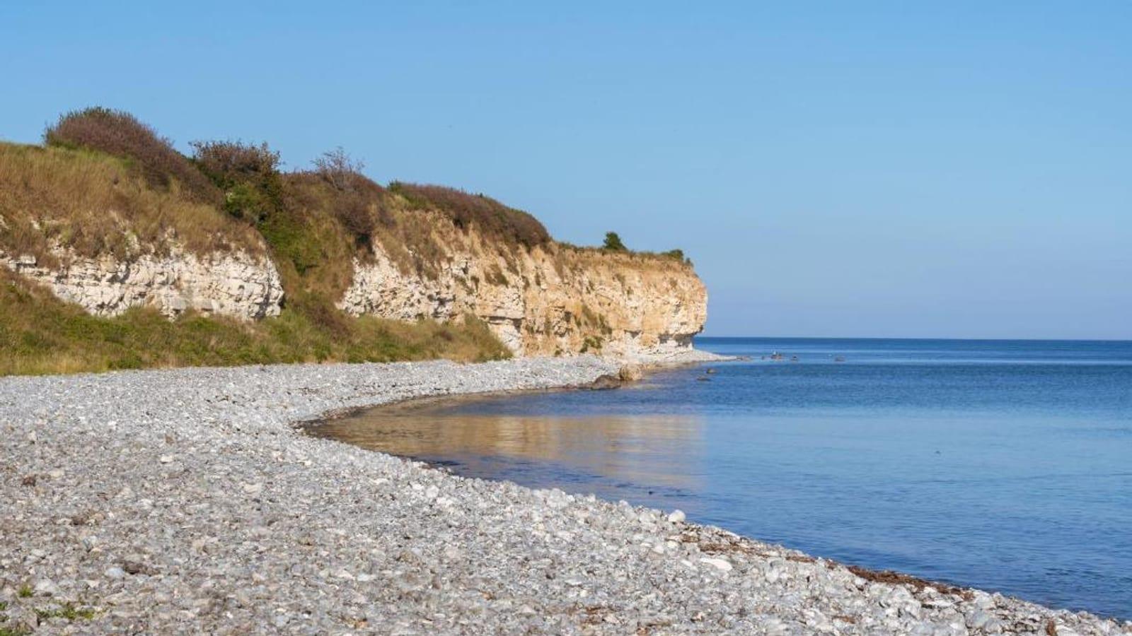Rødvig Beach: Easy Access to Cretaceous Fossils
