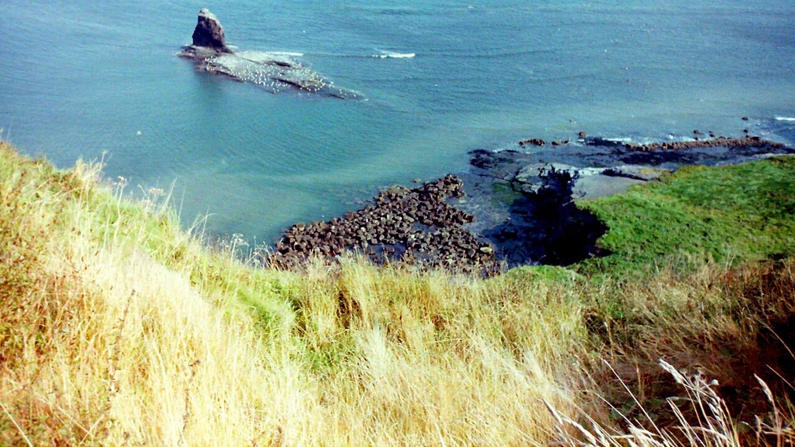 Saltwick Bay Fossil Hunting Guide Whitby