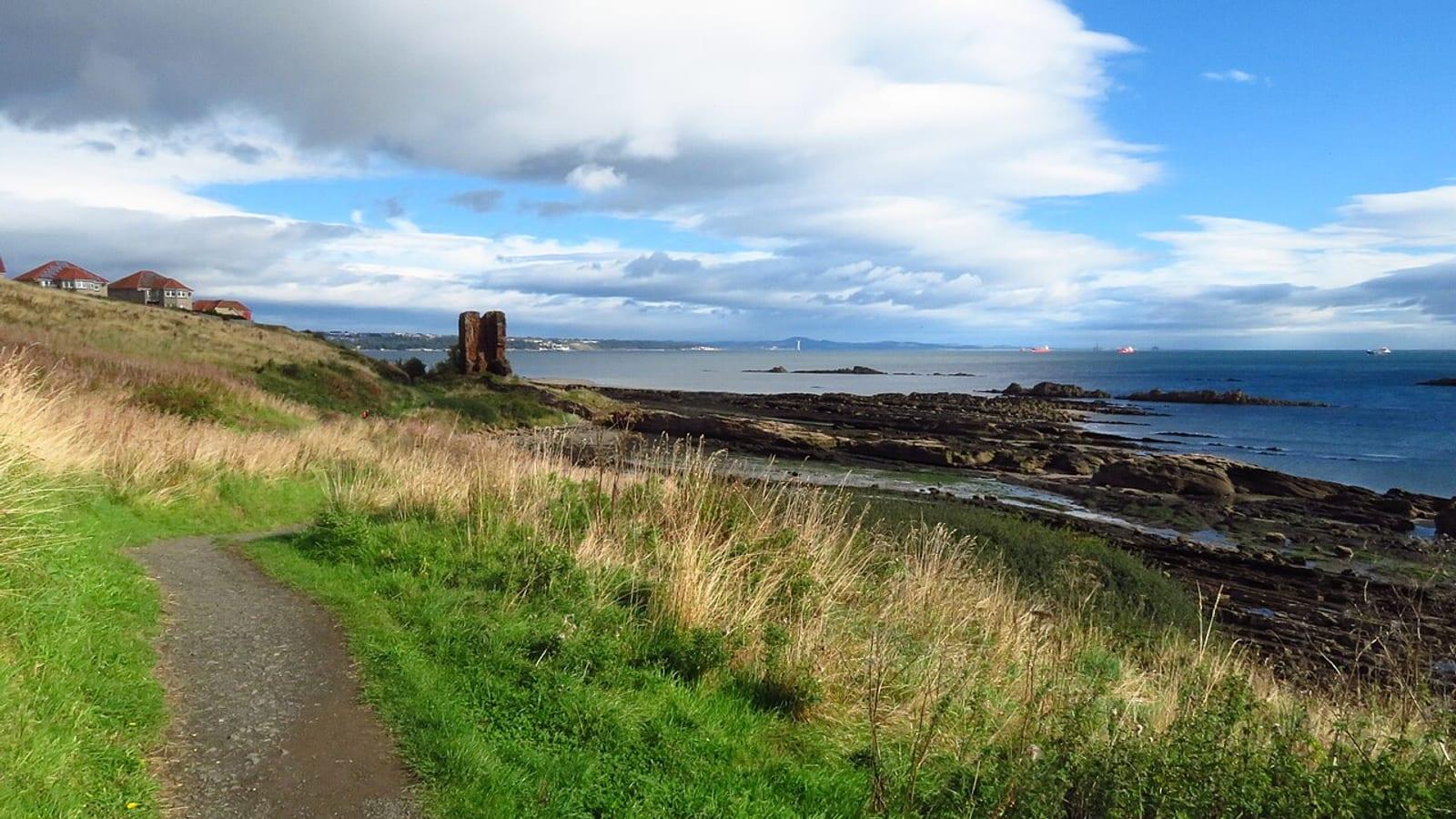 Seafield Tower Fossil Hunting Guide