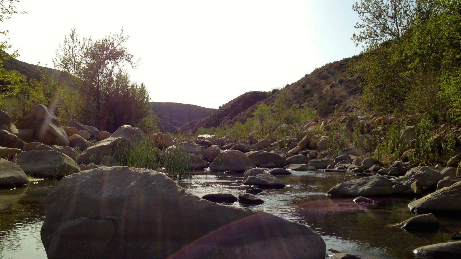 Guide to Finding Fossils in the Sespe Wilderness