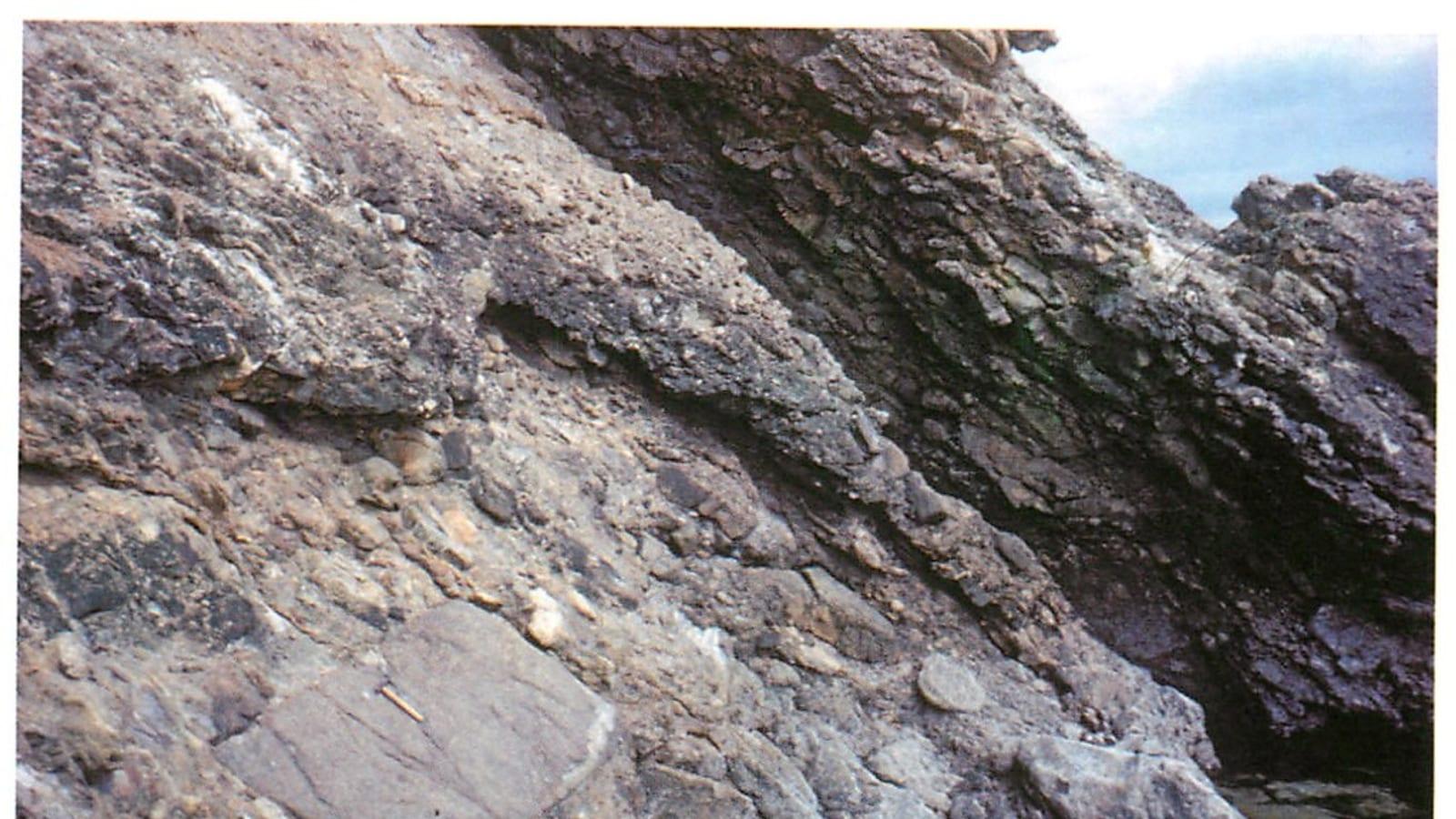 The Essential Guide to Fossil Hunting at Helmsdale