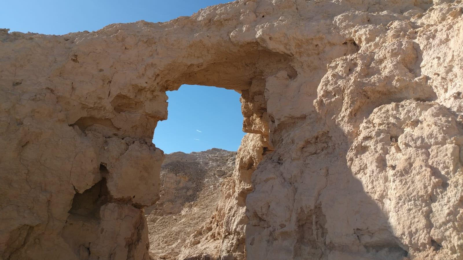Tule Springs Fossil Beds National Monument: megafauna such as mammoths, ground sloths, camels, and horses in Las Vegas, Nevada