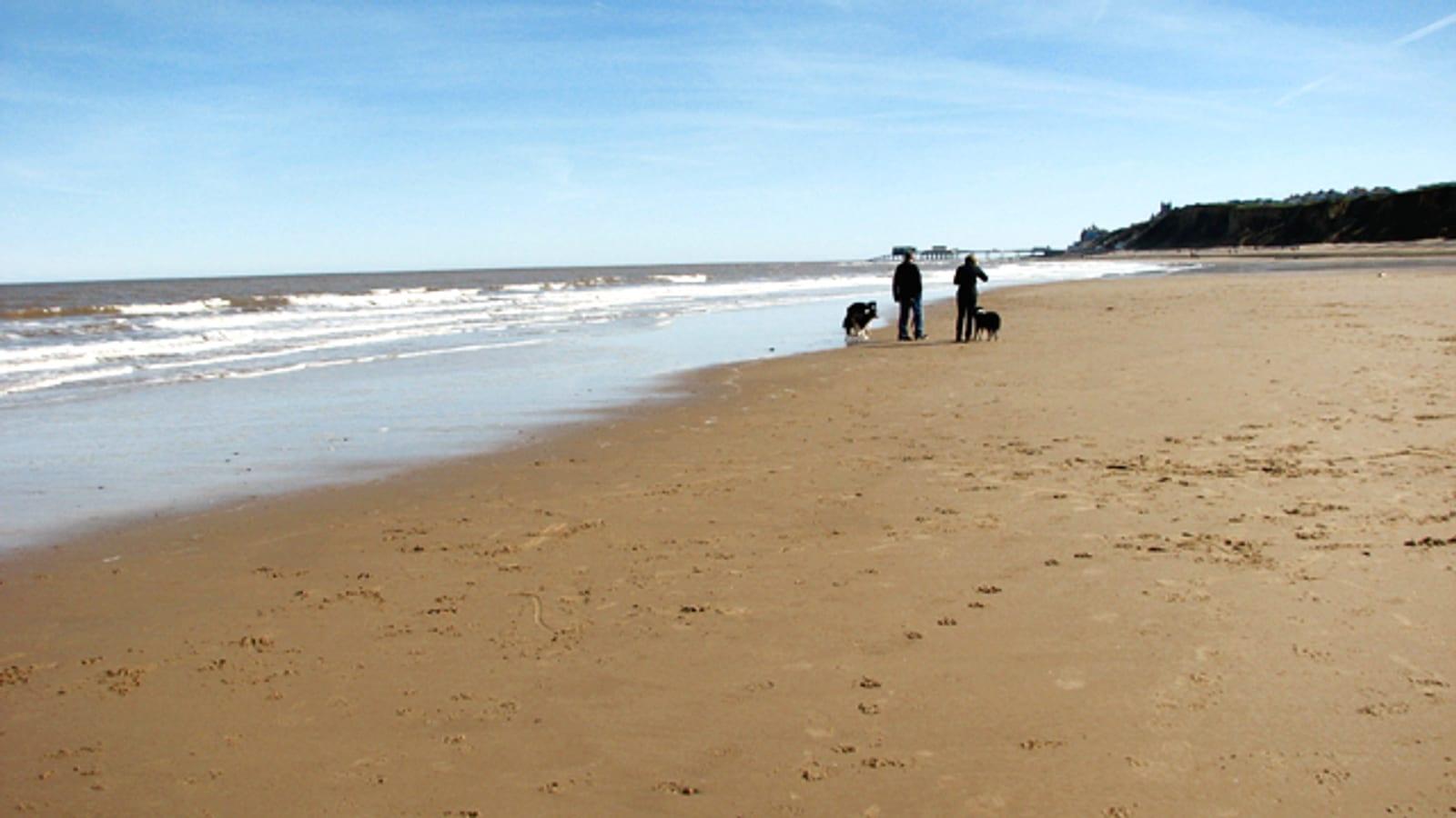 West Runton Fossil Hunting Guide