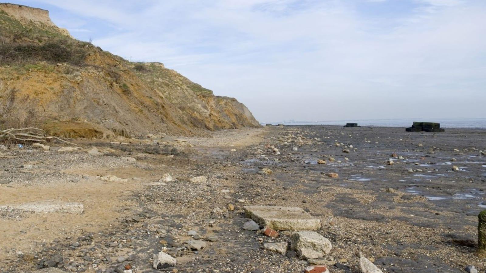 East Mersea Fossil Hunting: Complete Guide for the East Mersea London Clay and Pleistocene Deposits
